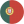 PT flag